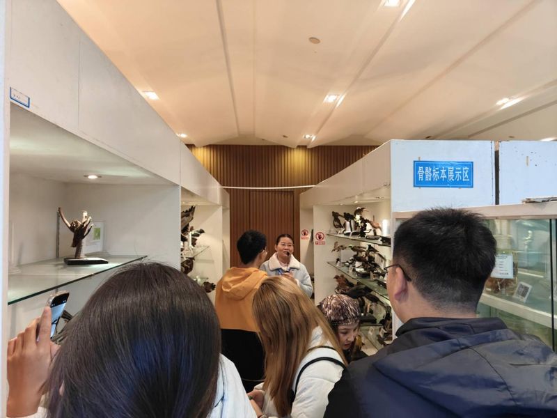 探秘生物标本馆，科技素养再提升